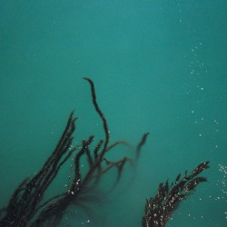 Fear of Bridges