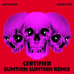 Certified (sumthin sumthin remix)