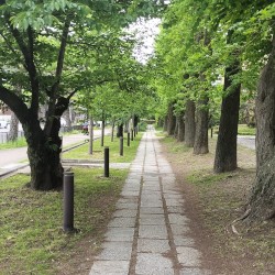 切れない時間
