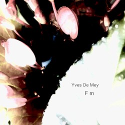 F m