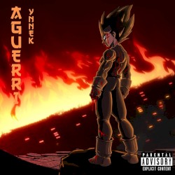 Aguerri