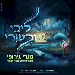 ליבי ובשרי