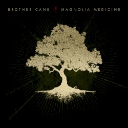 Magnolia Medicine