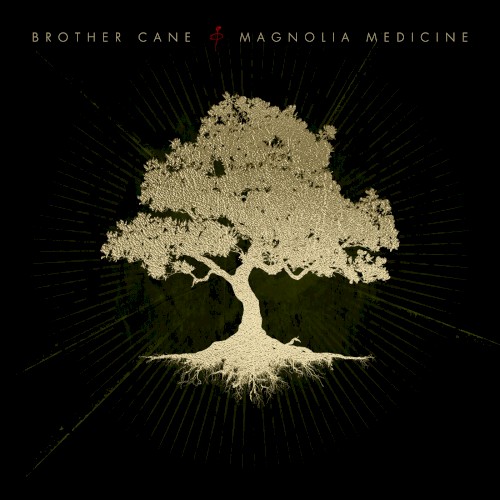 Magnolia Medicine