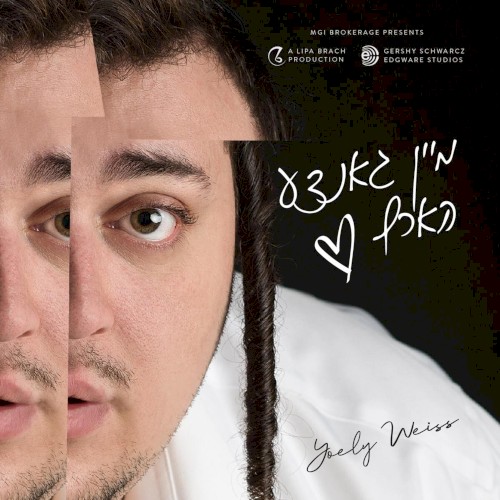 מיין גאנצע הארץ