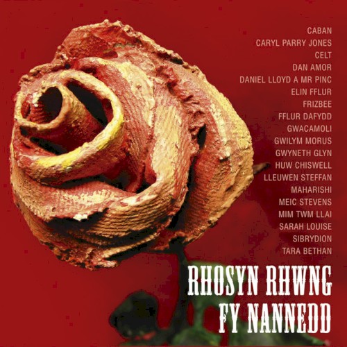 Rhosyn Rhwng Fy Nannedd