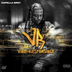 Vibe Responsibly, Vol. 1