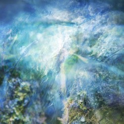 Vapour
