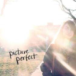 Picture Perfect