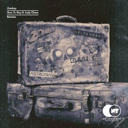 Here to Stay (remixes)