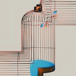 Christmas in a Cage