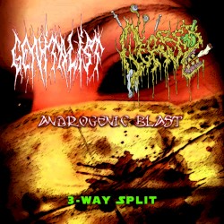 3-Way Split