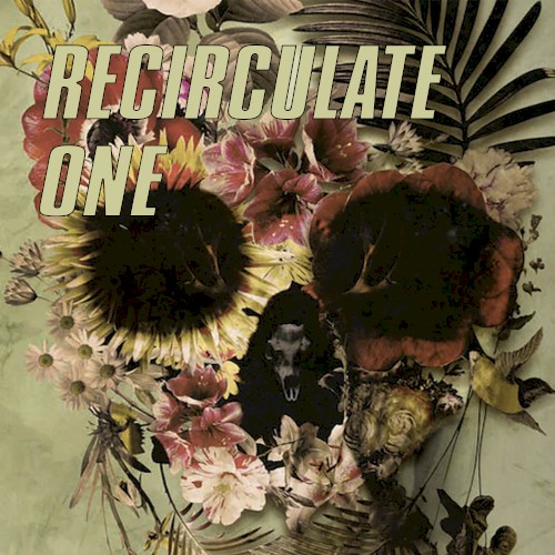 Recirculate One