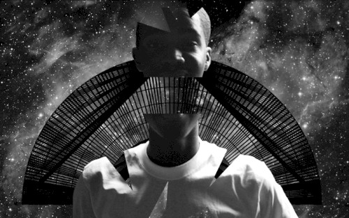 The Mellowest Trip