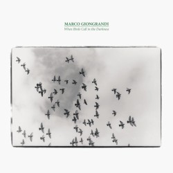 When Birds Call in the Darkness