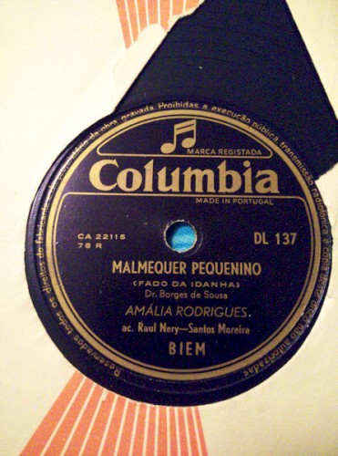 Malmequer pequenino / Grão de arroz