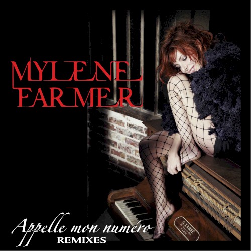 Appelle mon numéro (remixes)