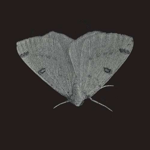 EP