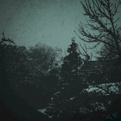 Project Risen Void