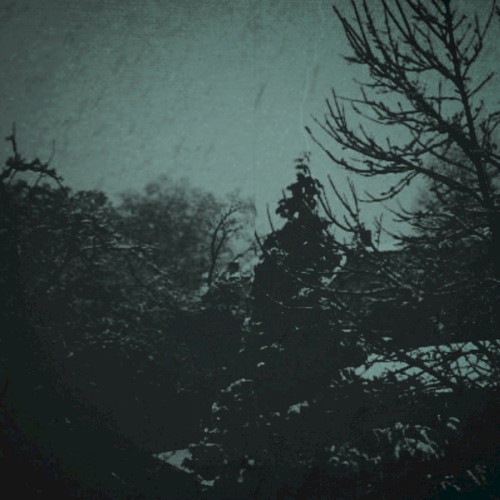 Project Risen Void