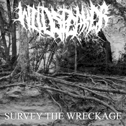 Survey the Wreckage