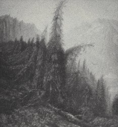 The Misty Kingdom