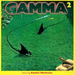 Gamma 2