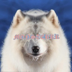 Monsterrr