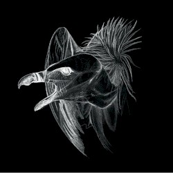 Migration