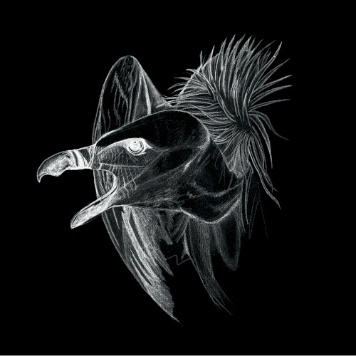 Migration