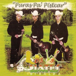 Puras pa’ pistear