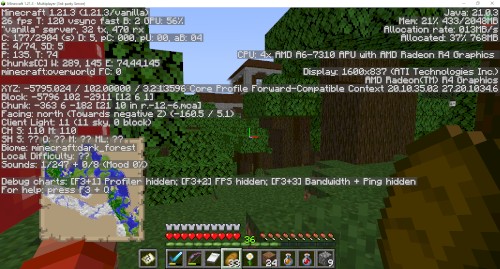 minecraft bullshit