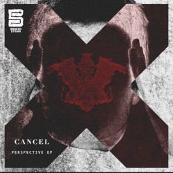 Perspective EP