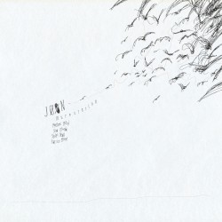 Murmuration