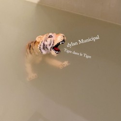 Tigre dans le Tigre
