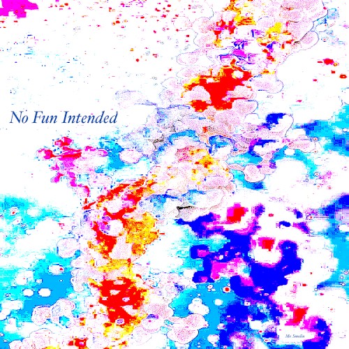 No Fun Intended