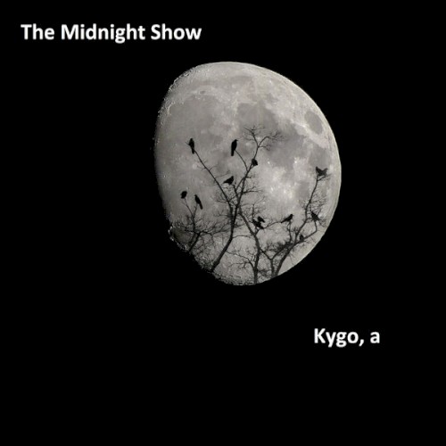 The Midnight Show