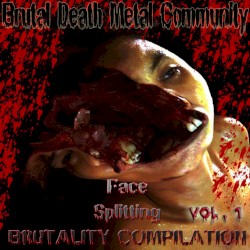 BDMC Face Splitting Brutality Compilation Vol. 1