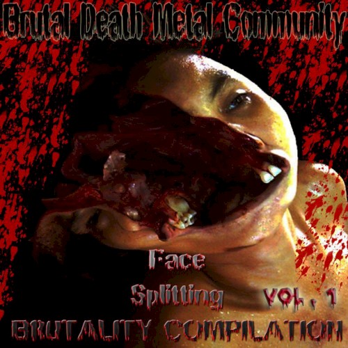 BDMC Face Splitting Brutality Compilation Vol. 1