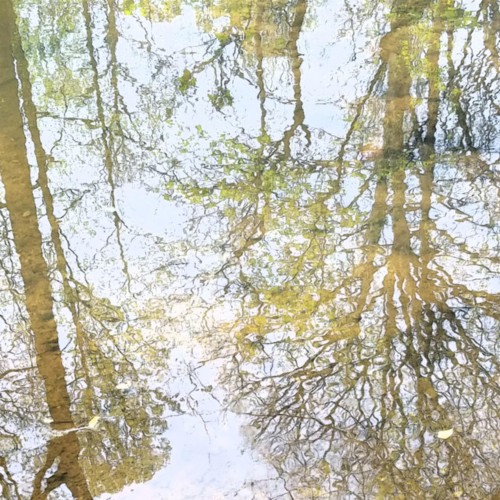 Ambient Selections