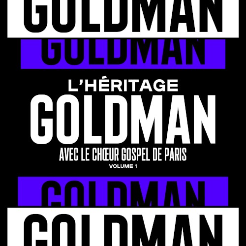 L’Héritage Goldman, Vol. 1