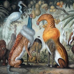 Magická Džungl’a