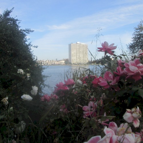 Mother's Day Weekend: Day One