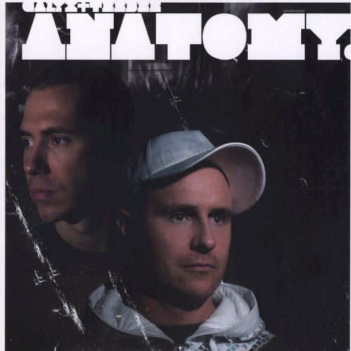 Anatomy