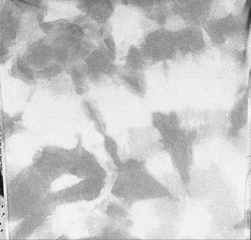 Not Worried With The Production of Evidence