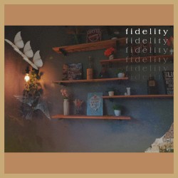 fidelity