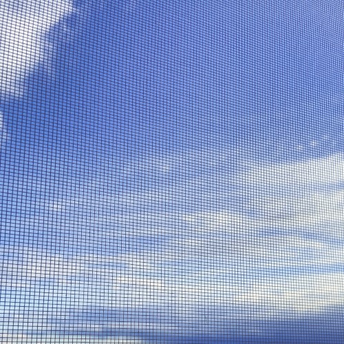 laying on the clouds