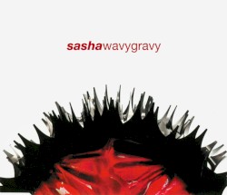 Wavy Gravy