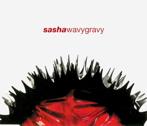 Wavy Gravy
