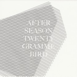 Twenty Gramme Bird